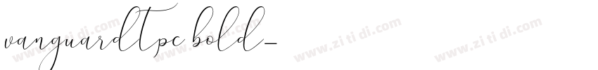 vanguardtpc bold字体转换